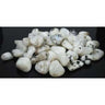 Rainbow Moonstone Gemstone Mani/Pedi Stones - Promotes Intuition and Harmony / 1 lb. by Gemstone Mani-Pedi