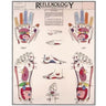 Reflexology Chart