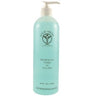 Resurfacing Toner / 16 oz. by Ayur-Medic Skincare