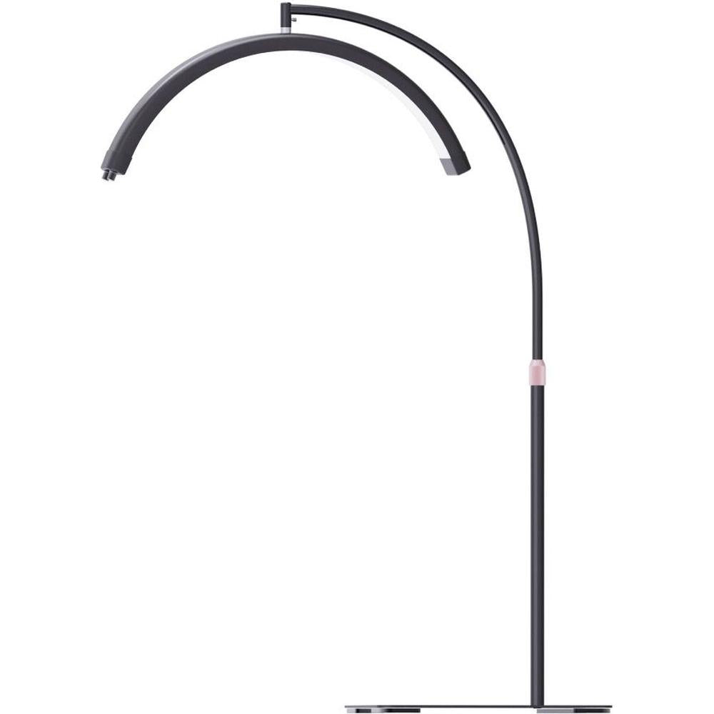 Salena Half-Moon LED Free-Standing Light with Phone Holder / Available ...