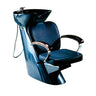 Salon Masters Backwash Unit