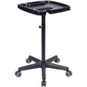 Salon Service Tray by Celebrity