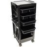 Salon Trolley With Lockable Doors by Celebrity