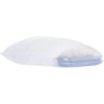 Scrip Water Pillow