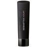 Sebastian Volupt Shampoo / 8.4 oz.