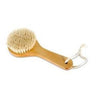 Short Handle Brush With Round Shape Head by