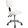 Signe Contoured Esthetic Stool with Back Support / White by Silver Spa