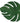 Small Philodendron Mat