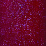 SNS GELous Color Dipping Powder - SPRING 2017 COLLECTION - SP03 / 1 oz.