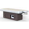 Sondre Elegant Electric Spa, Massage, & Wellness Table + Face Cradle Included by Silver Spa