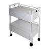 Spa Masters Esthetician Trolley