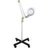 Spa Masters Magnifying Lamp / 5X & 8X / Round Head / Free Standing