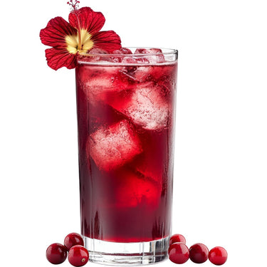 Spa Moments - Organic Herbal Tea - Cranberry Hibiscus / 100 Count