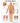 Spinal Nerves Poster 20" X 26" Styrene