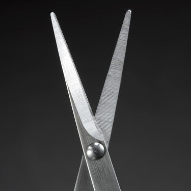 Stainless Steel Grooming Scissors by Seki Edge