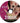Star Nail - Soak Off UV Nail Color Service Instructional DVD