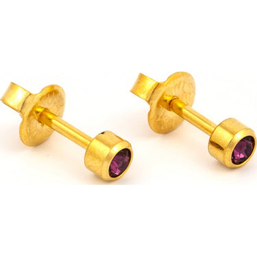 Studex Gold Plated Bezel Set Birthstone Earrings - February (Amethyst)