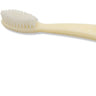 Sustayne Toothbrush - Corn Starch / Case of 1,000 Count - Individually Packaged