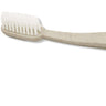 Sustayne Toothbrush - Wheat Straw / Case of 1,000 Count - Individually Packaged