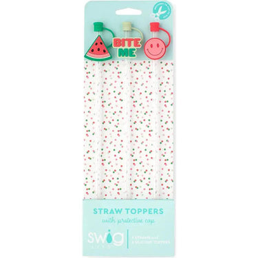 Swig Life Straw Topper Set / Melon Slice