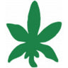 Tanning Body Stickers - Hemp Leaf / 1,000 per Roll