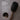 Teleties Boar Bristle Hair Brush - Tortoise