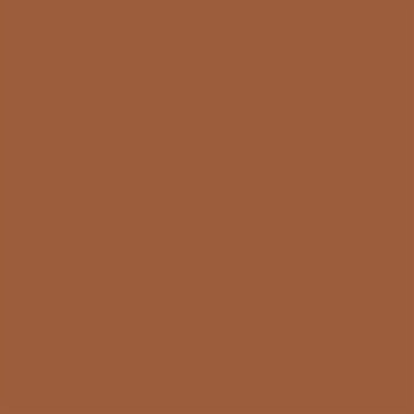 The Rave Cosmetics Lip Gloss - Truffle