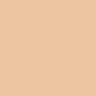The Rave Cosmetics Liquid Foundation - Naked