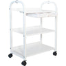 TM-3A Trolley / 3 Shelves with a Pull-Out Drawer by Equipro