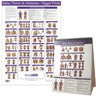Trigger Point Chart Torso/Spine