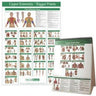 Trigger Point Chart Upper Extremity