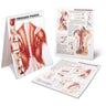 Trigger Point Desk Book - Myfascial Pain