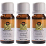 Uplifting Essential Oil Trio / Includes Harmony Blend, Spiritual Healing Blend, & Peaceful Ambition Blend by Lotus Touch