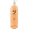 Vacha Toner / 16 oz. by Ayur-Medic Skincare
