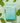Voesh O2 FIZZ Pedi in a Box - 5-Step - Mint Mimosa / 1 Treatment Set