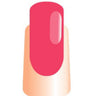 WaveGel Matching Soak Off Gel Polish & Nail Lacquer - Le Petite / 0.5 oz. Each