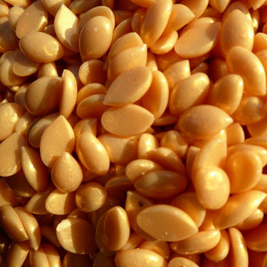 Waxness Barbero Tattoo Hypoallergenic Gold Film Hard Wax Beads - Made in Italy / Bulk 19.8 lbs. - 8.98 kg.