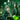 Wet Brush Wicked Emerald City Kit - Totally Ozmopolitan
