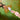 Wet Brush Wicked for Good Friendship 2.0 Brush Set