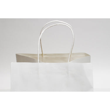 White Kraft Paper Bags with Twisted Paper Handle - 10"W x 10"D x 10"H / 1 Case (250 per Case)