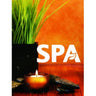 Window Decal - Spa / 24" x 36" by Alfalfa