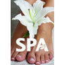 Window Decal - Spa / 24" x 36" by Alfalfa