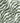 Zebra Tissue Paper 20" x 30" / 240 pieces
